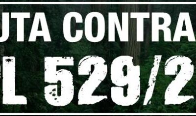 Acompanhem a sessão ordinária que discute o PL 529