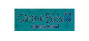 cara de bicho logo