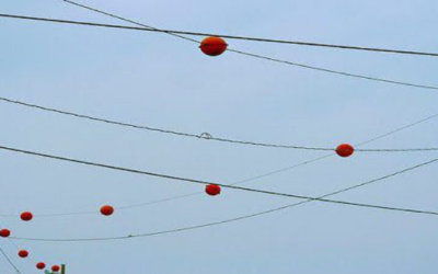 PARA QUE SERVEM AS BOLAS NOS FIOS DE ALTA TENSÃO?