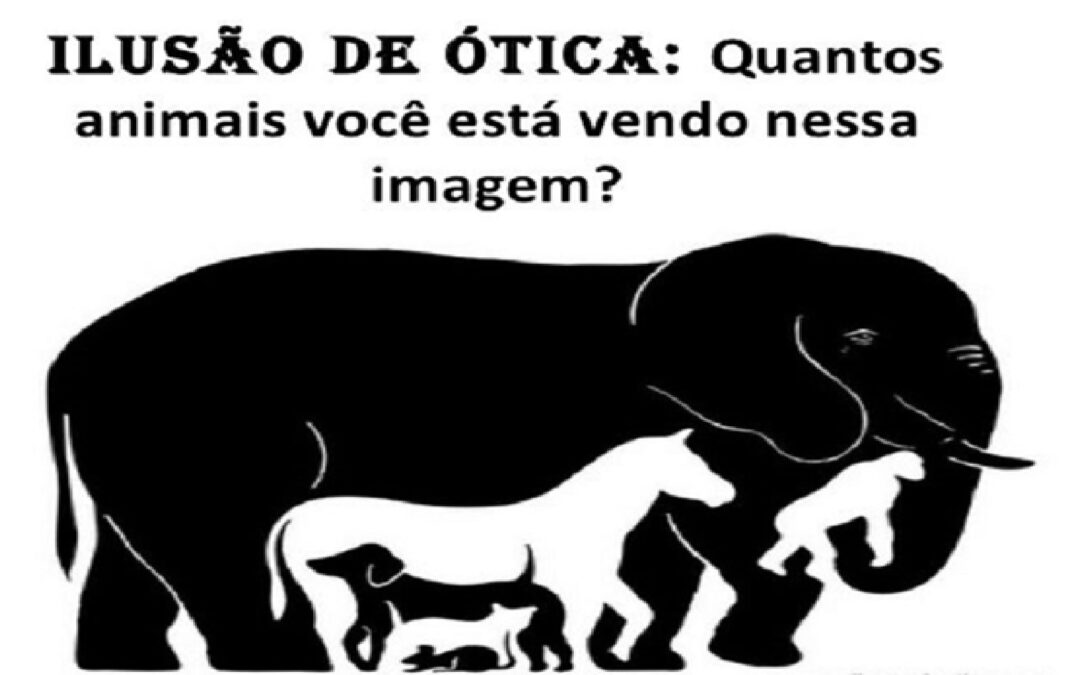 ILUSÃO DE ÓTICA