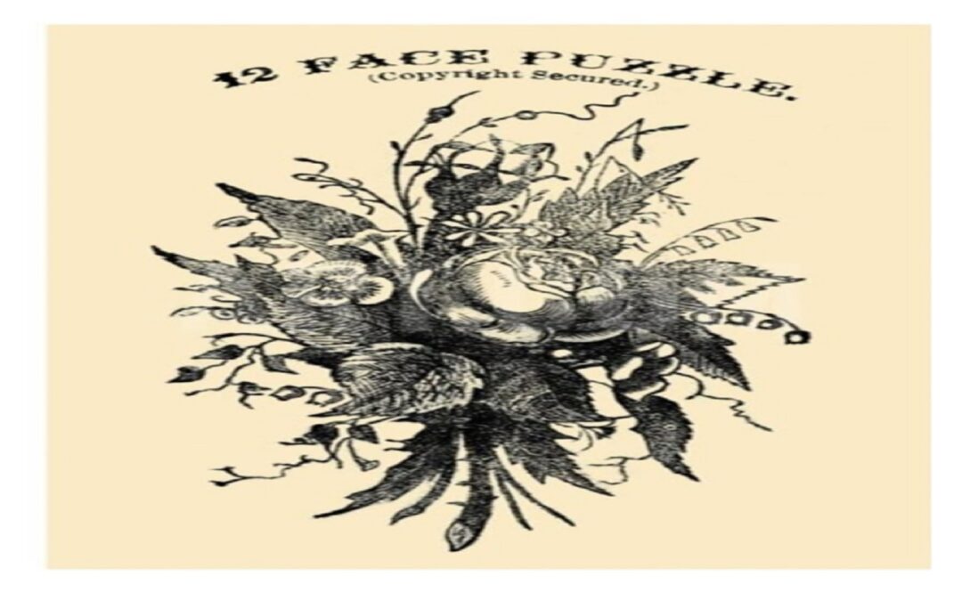 ILUSÃO DE ÓTICA DO SÉCULO 19