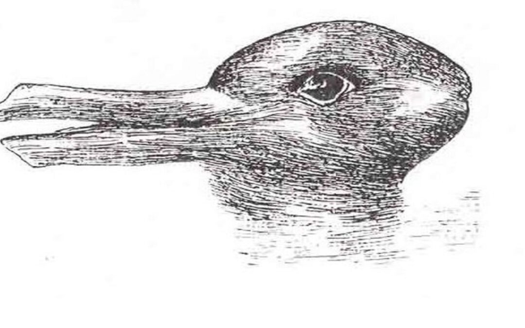 Qual é esse animal?