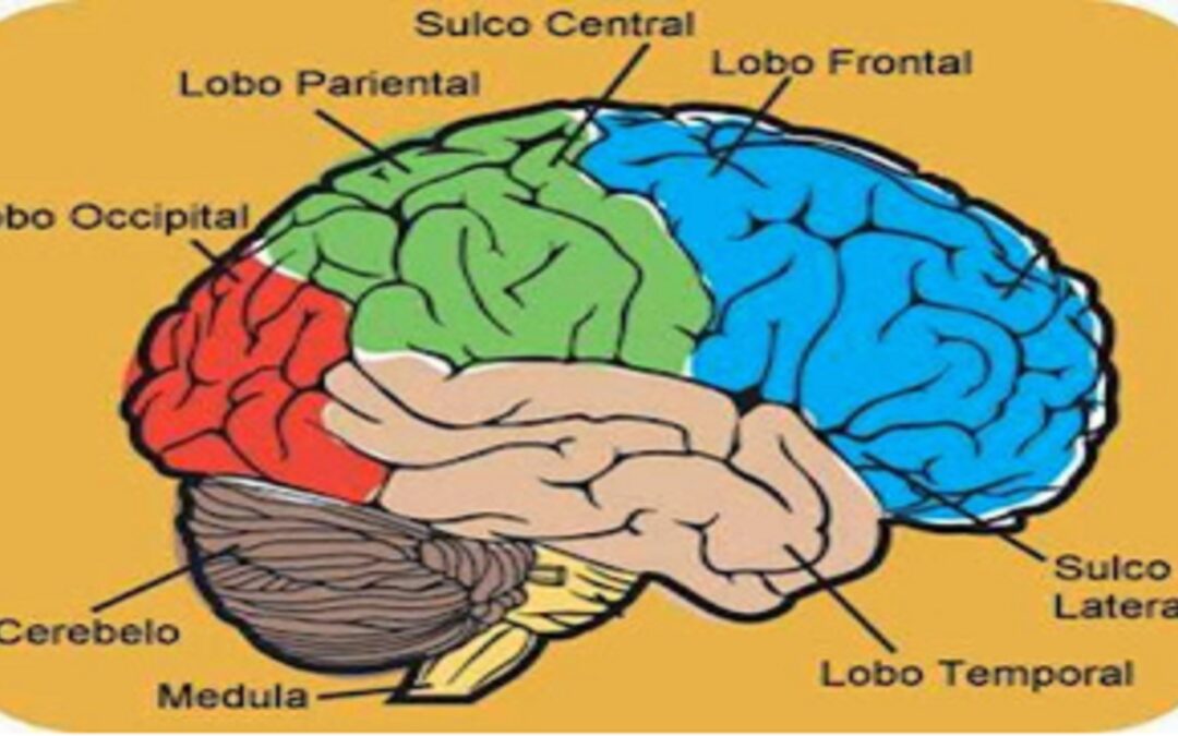 Jogo dos 7 erros – aprendizagens implícitas