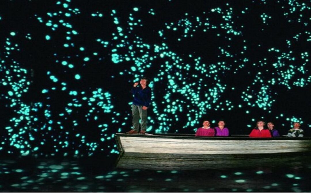 Cavernas de Waitomo, Nova Zelândia