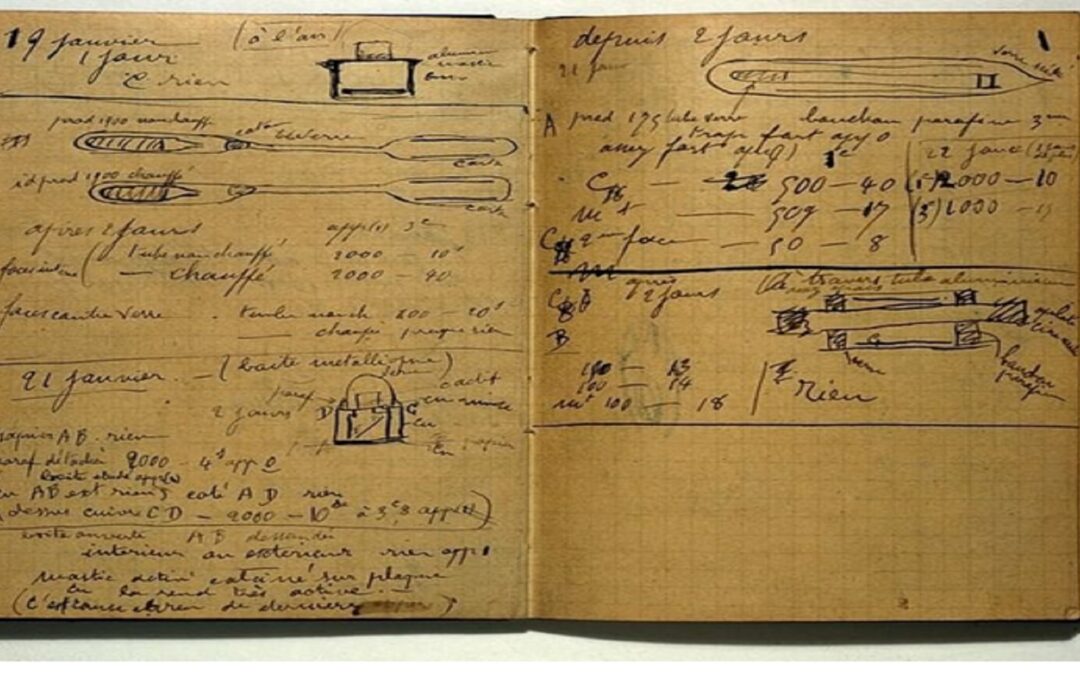 Curiosidades sobre ciência