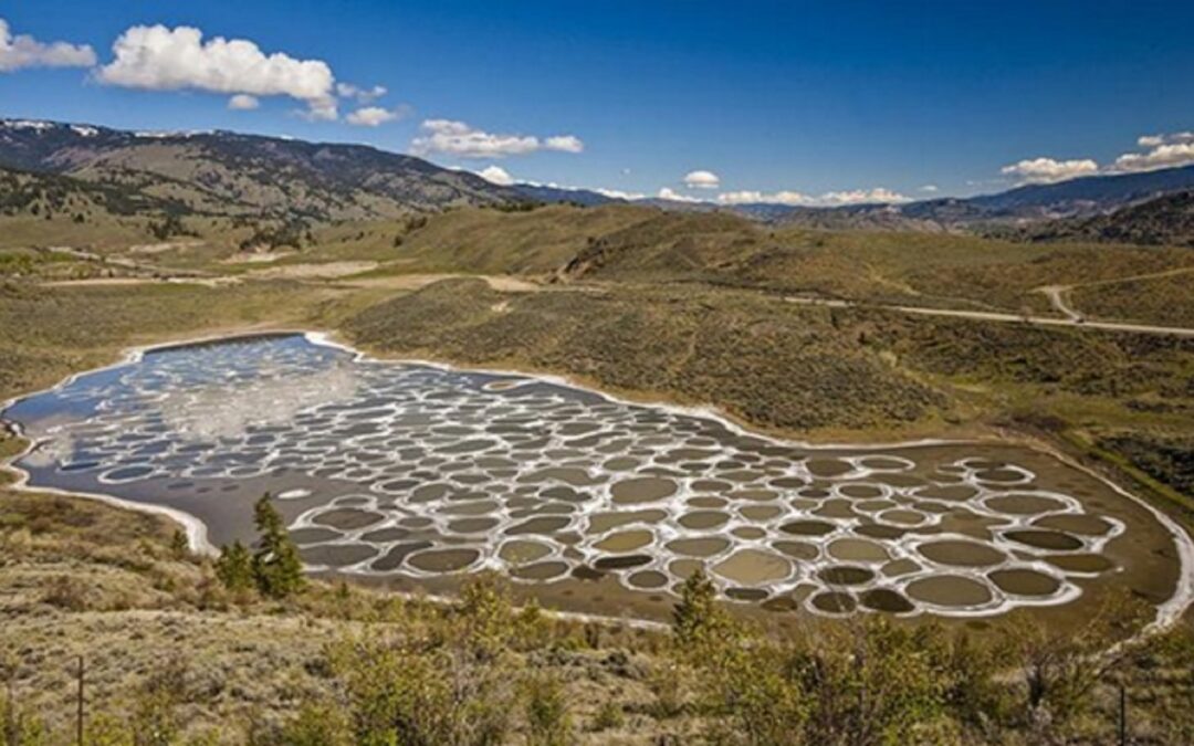 Spotted Lake – o Lago Manchado, Canadá