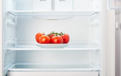 Tomates que são armazenados na geladeira perdem sabor