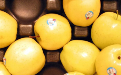 O selo que se encontram em alguns alimentos são comestivos