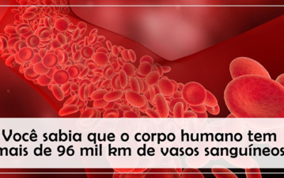 O corpo humano tem mais de 96 mil km de vasos sanguíneos