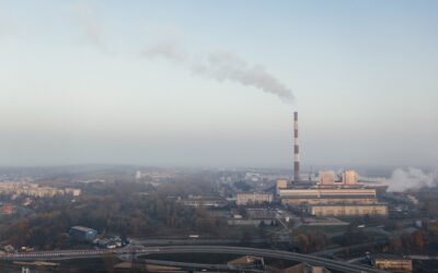 Cientistas usam modelos climáticos para apontar a data em que a Terra enfrentará uma extinção em massa; entenda