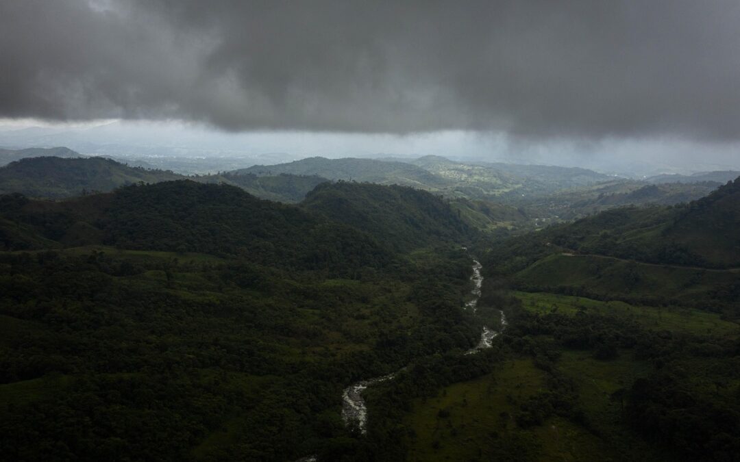 Floresta Amazônica
