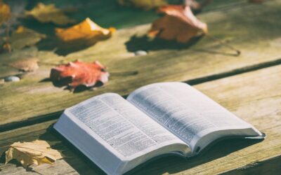 A Bíblia tem 2930 personagens